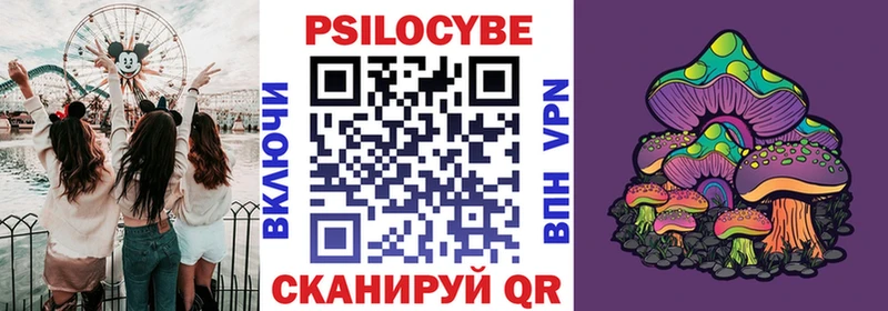 Купить  Кириллов  Псилоцибиновые грибы MAGIC MUSHROOMS 